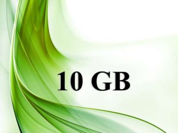 1 Jahr - Gambio GX2 Webshop-Hosting - 10 GB - alles andere unlimitiert Plesk DE
