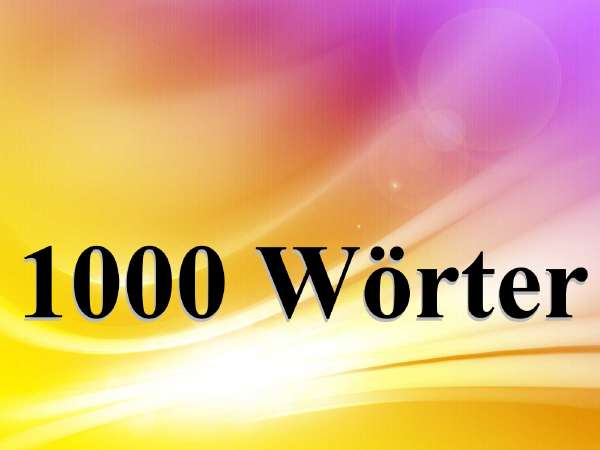 1000 Wörter SEO Text für Ihren Webshop oder Webseite