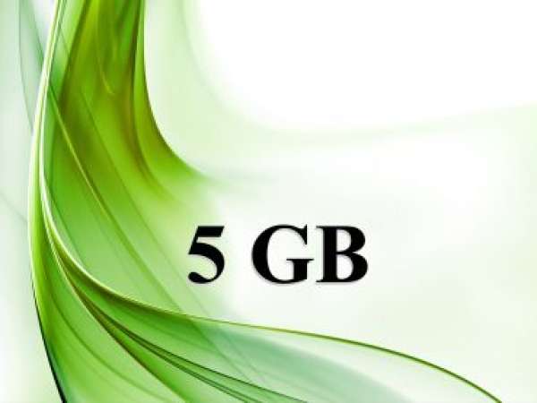 1 Jahr - Gambio GX4 / GX5 Webshop-Hosting - 5 GB Plesk Deutsch