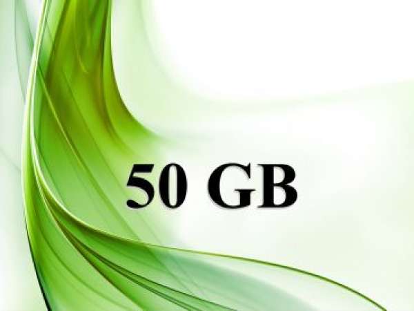 1 Jahr - Gambio GX4 Webshop-Hosting - 50 GB - alles andere unlimitiert Plesk DE